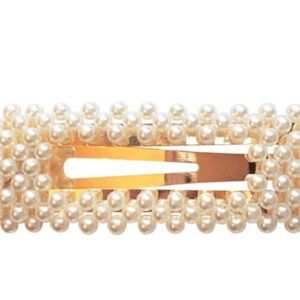 Large Pearl Snap Clips Set of 2 NEW